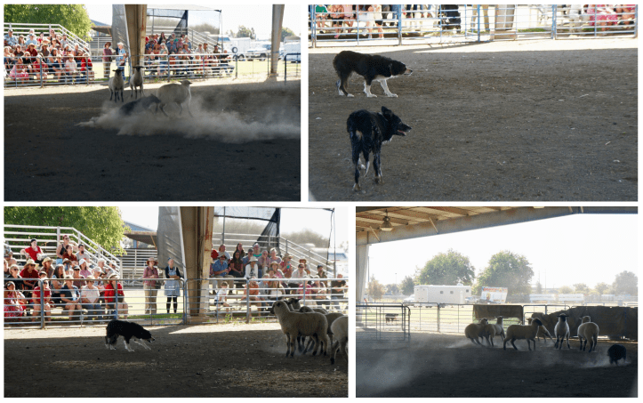 Screen Shot 2017-10-08 at 2.50.27 PM.png